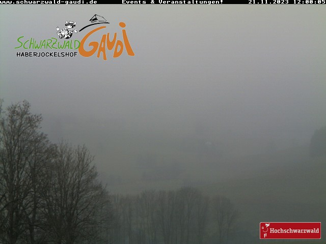 Webcam Haberjockelshof - Titisee - Neustadt Webcam Haberjockelshof - Titisee - Neustadt