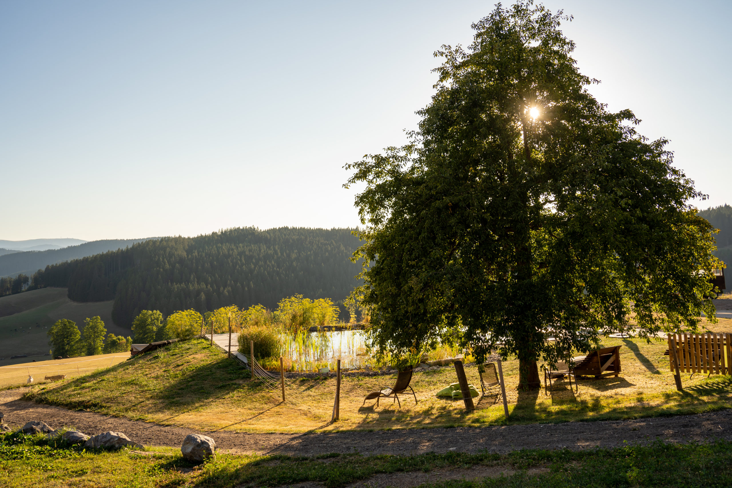 Home - Haberjockelshof, Ihr Erlebnisbauernhof im Schwarzwald